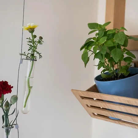 Apartment Eos Art Studio *